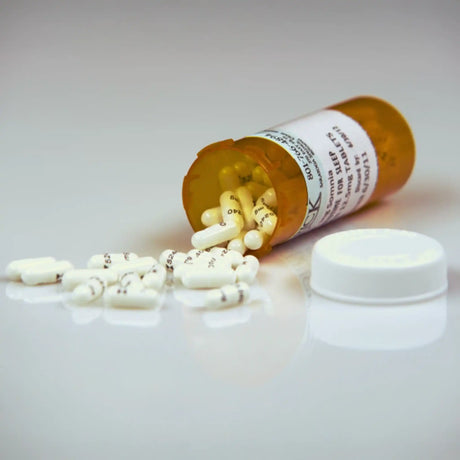 Drug & Alcohol Abuse for Employees Streaming Access